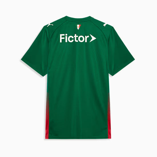 Palmeiras 2026/27 (Home)